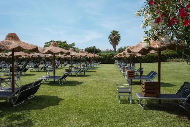 שמשיות קש ומיטות שיזוף על מדשאה ירוקה ומטופחת