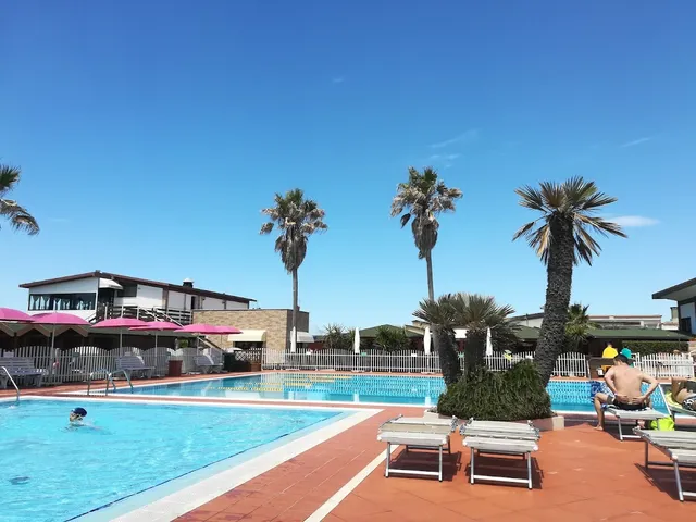 בריכה עם כיסאות נוח ודקלים תחת שמיים כחולים